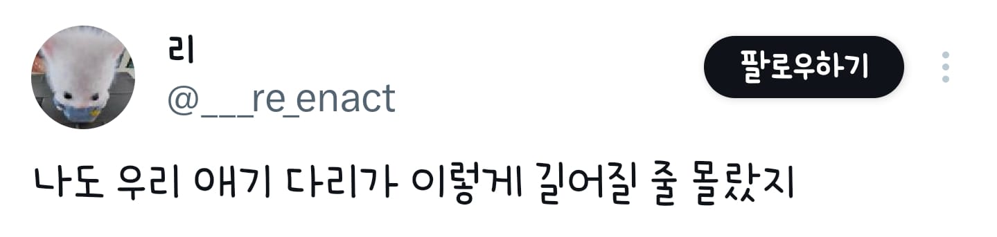 강아지가 이정도로 롱다리로 클지 몰랐다는 견주