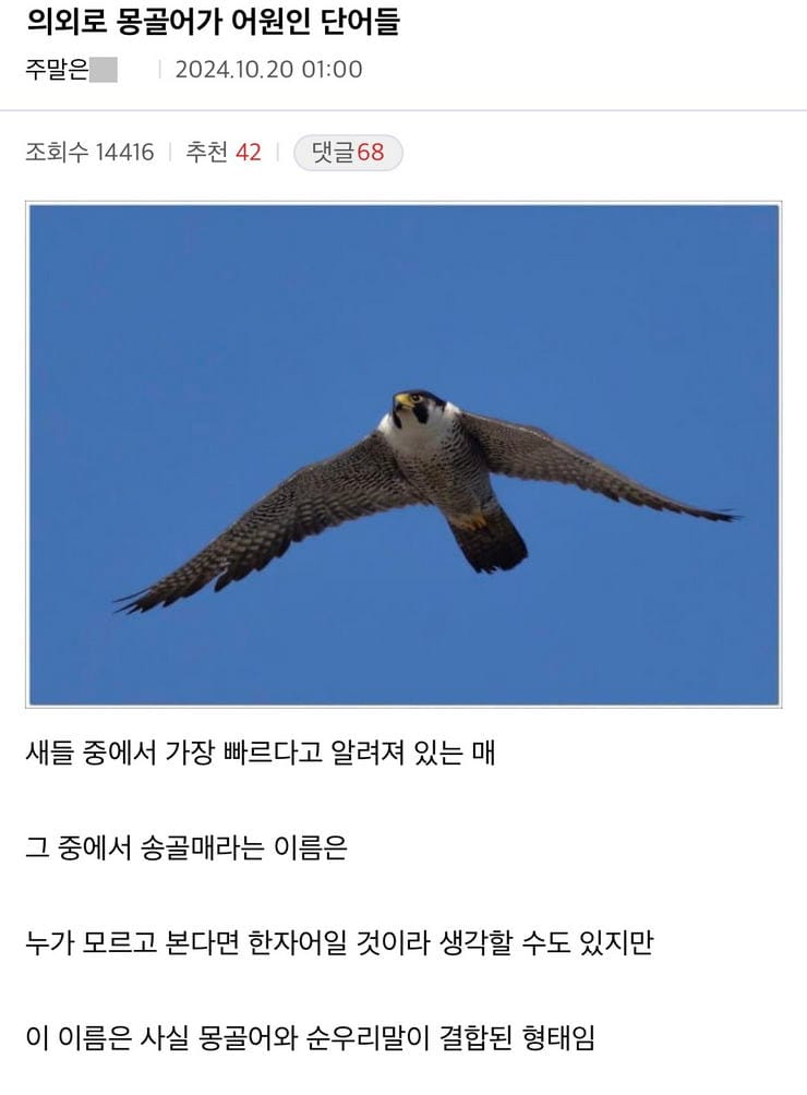 의외로 몽골어가 어원인 단어들.jpg