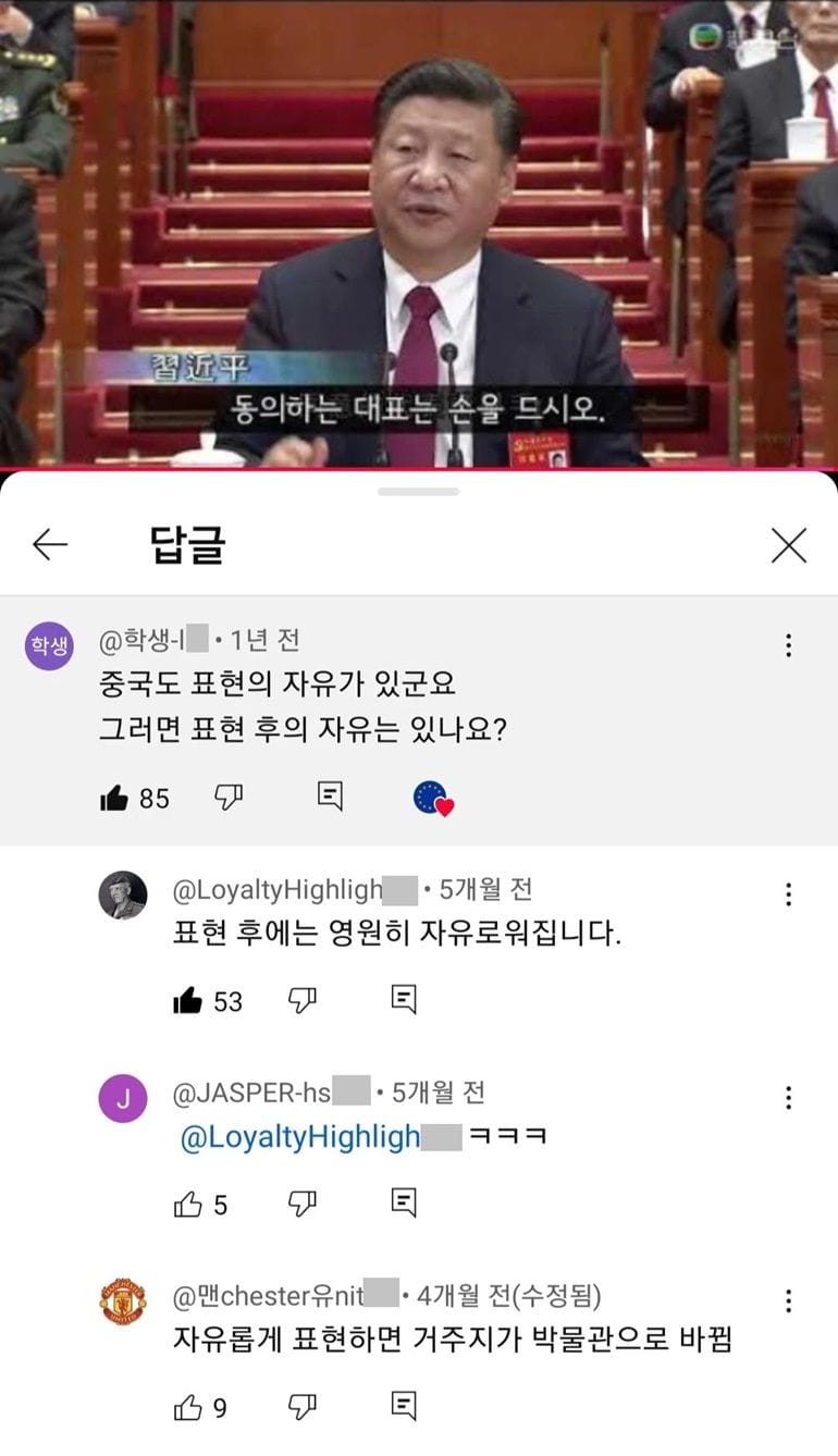 중국식 표현의 자유.jpg