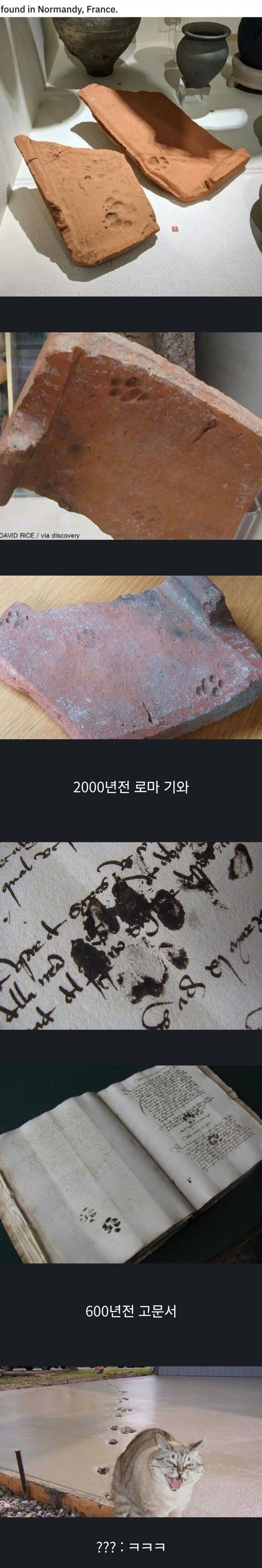 수천년간 변함없는 동물.jpg