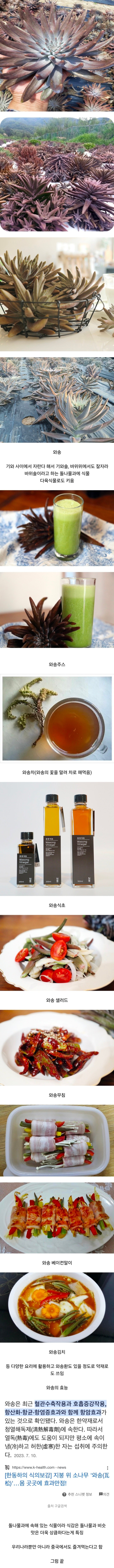 좋아하는 사람은 환장해서 먹는 우리나라 희귀 식재료