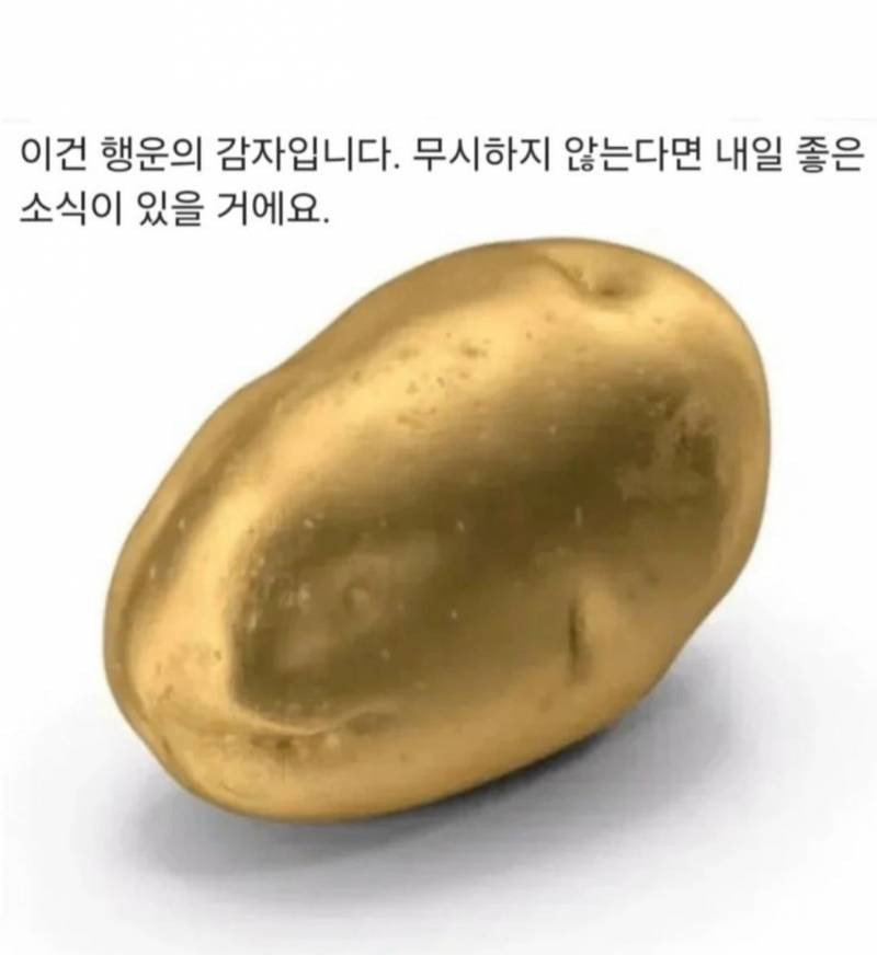 아 진짜 너무 억지다 행운의 감자 뭐 이런게 다있음?;