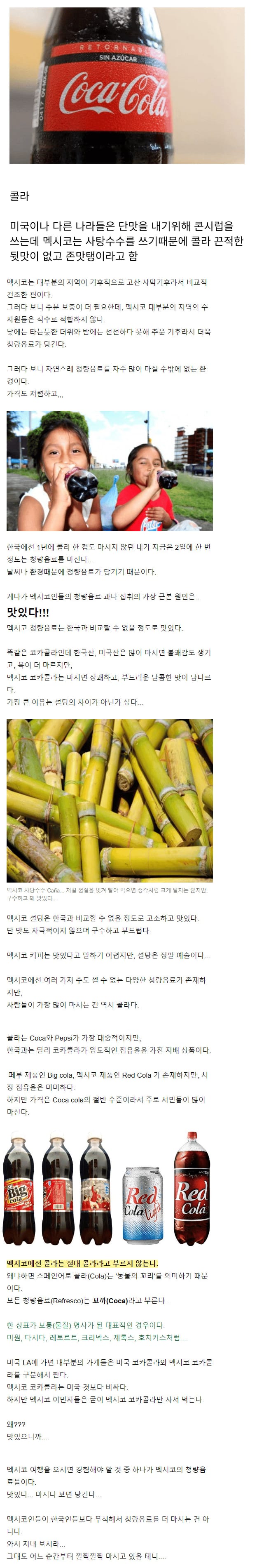 멕시코에 가면 꼭 먹어봐야 한다는 음식