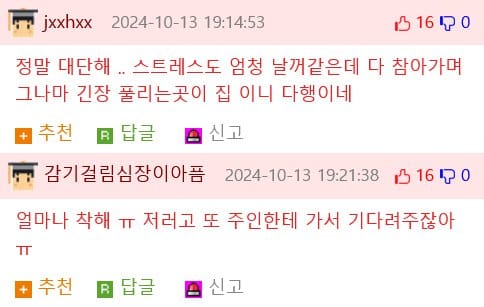 집에 도착하니까 갑자기 돌변하는 시각장애인 안내견