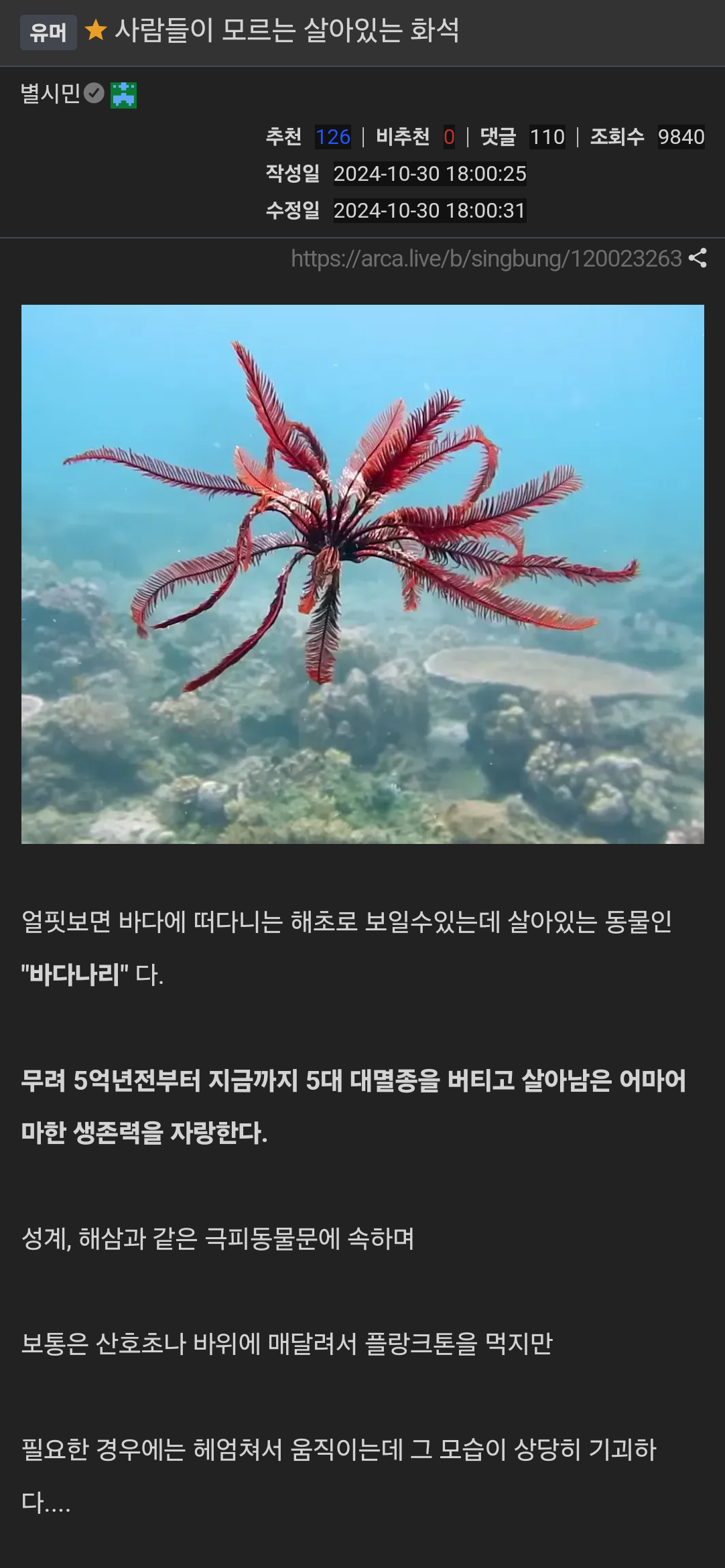 사람들이 모르는 살아있는 화석