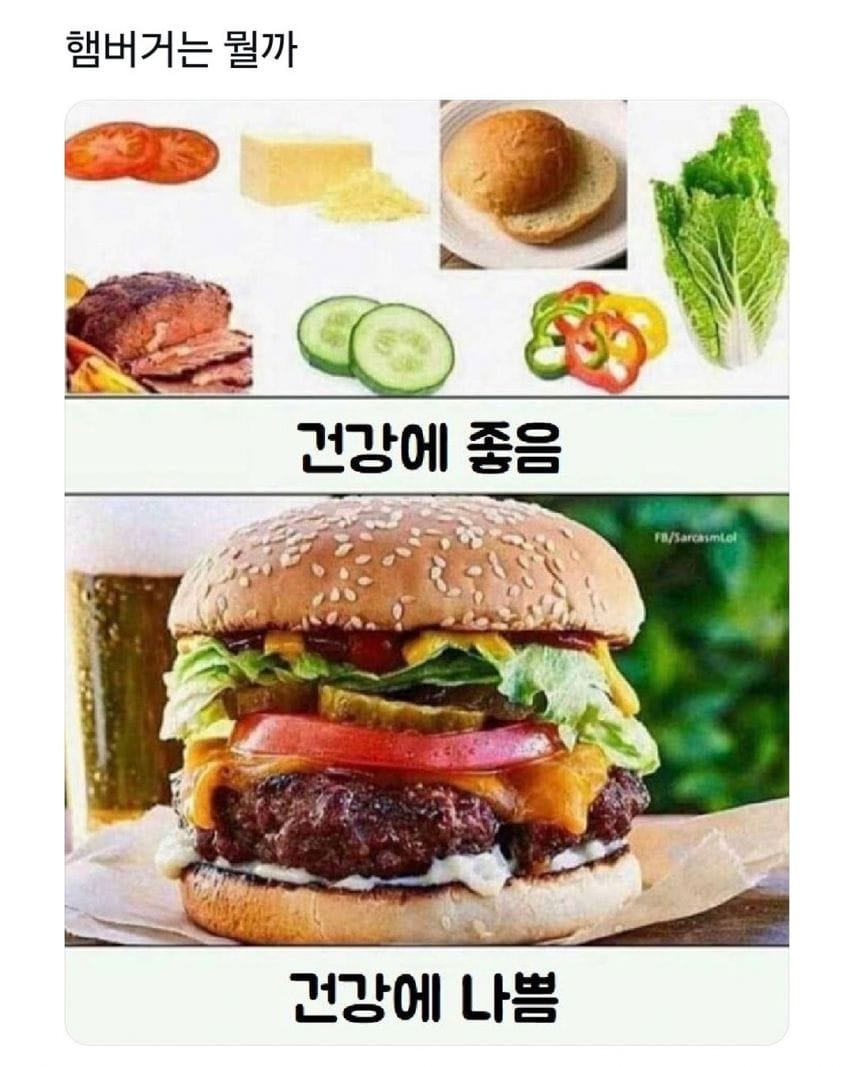 햄버거란 뭘까?