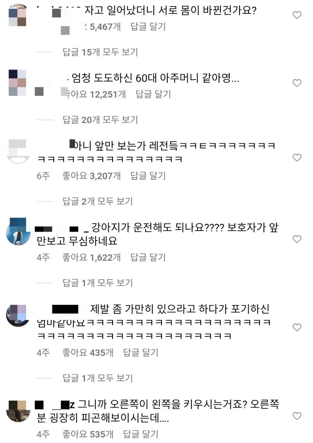 옆에서 난리 치고 있는데 세상 무심한 댕댕이ㅋㅋㅋ