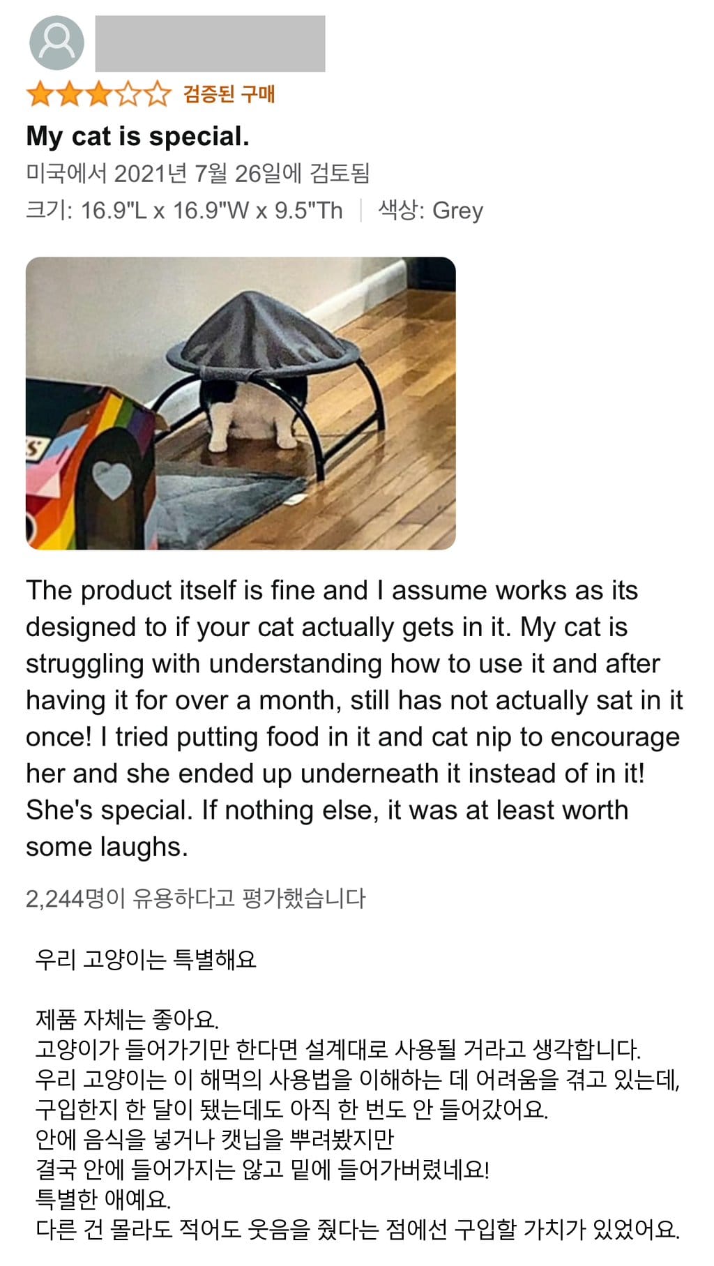 집시가 사준거라 써보려고 노력한 고양이