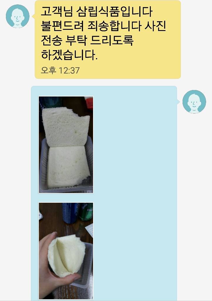 깔끔한 차치마요 샌드위치