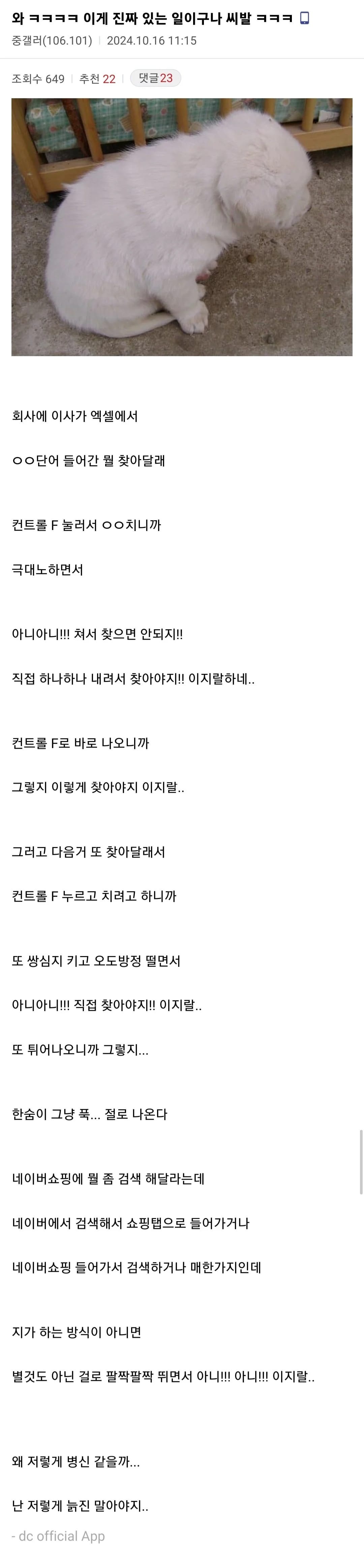 엑셀 단축키 쓰다가 이사가 쌍욕함...JPG