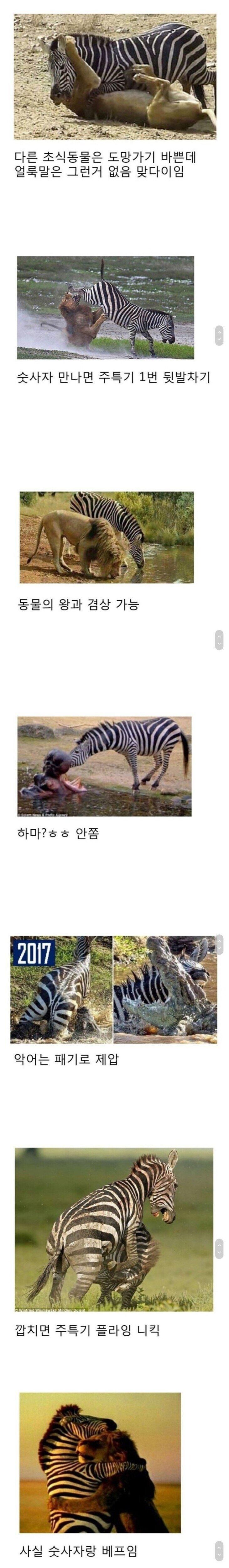 문신 한 놈은 건들지 마라..jpgif