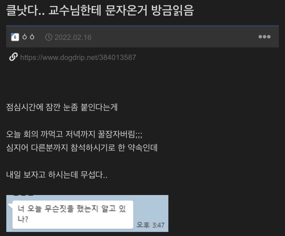 회의 당일날 꿀잠 자버린 개붕이.𝗝𝗣𝗚