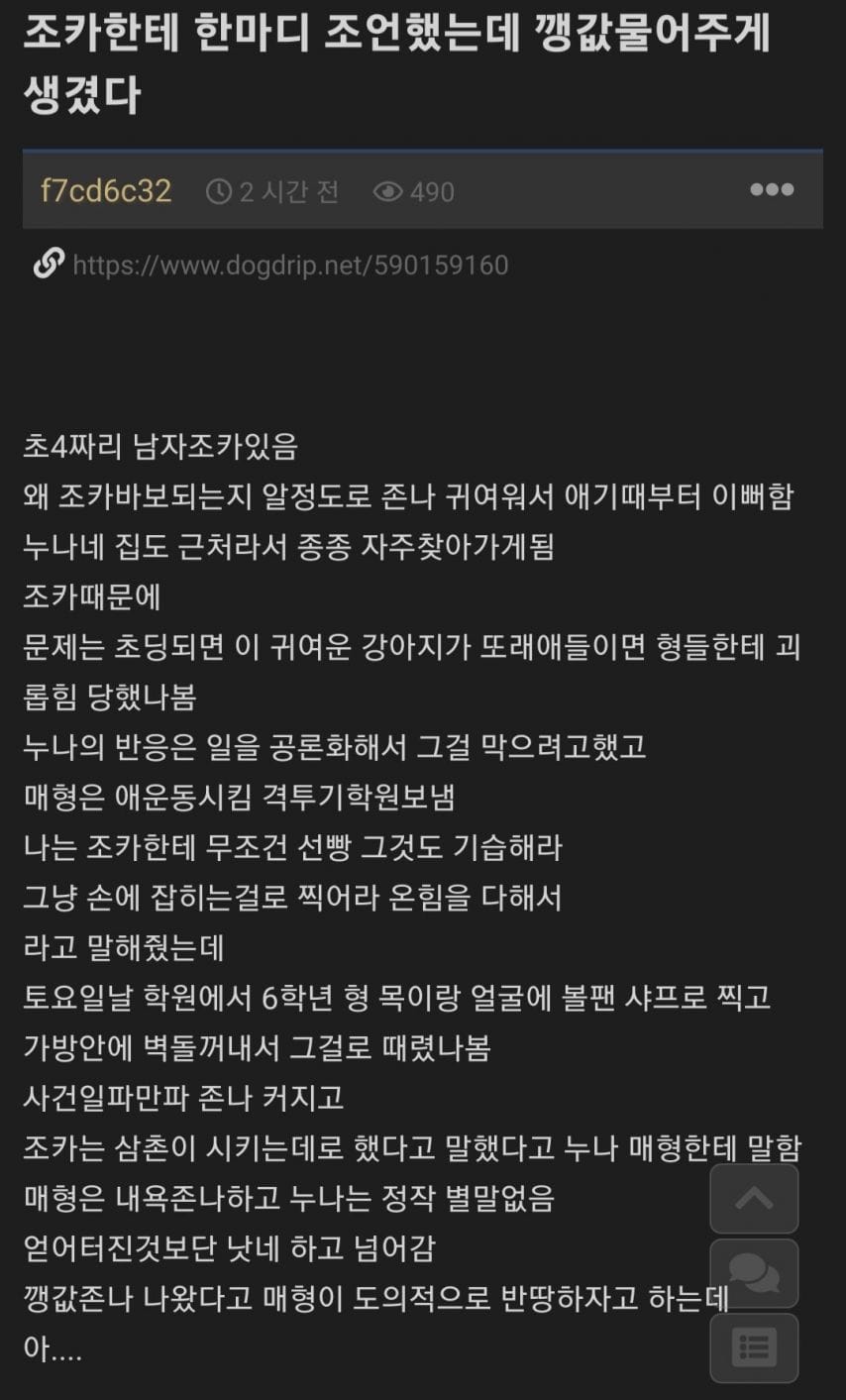 조카한테 조언했는데 깽값 물어주게 생겻다