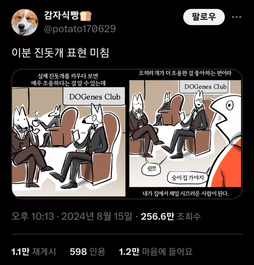 진돗개 주인들 초공감 웹툰