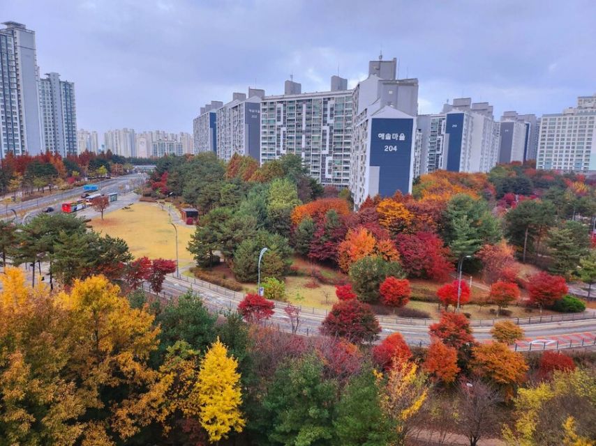 우리나라에서 단 2주만에 벌어진 일