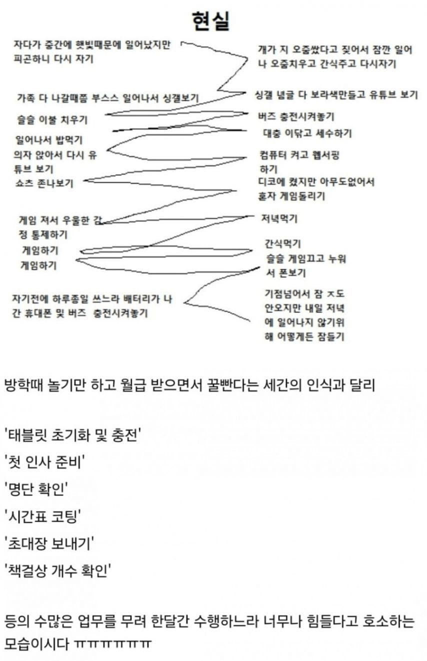 방학 업무도 빡세다는 교사를 본 디씨인