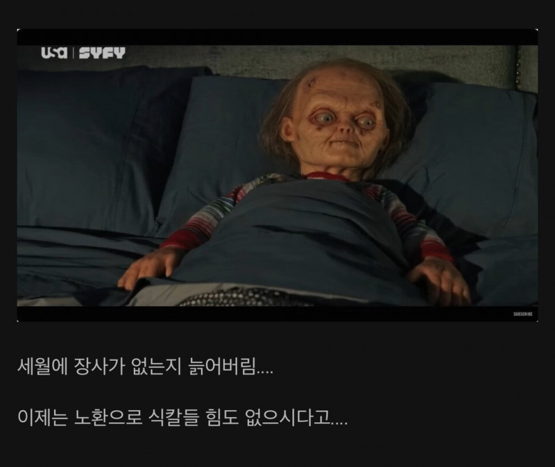 사탄의 인형 처키 근황