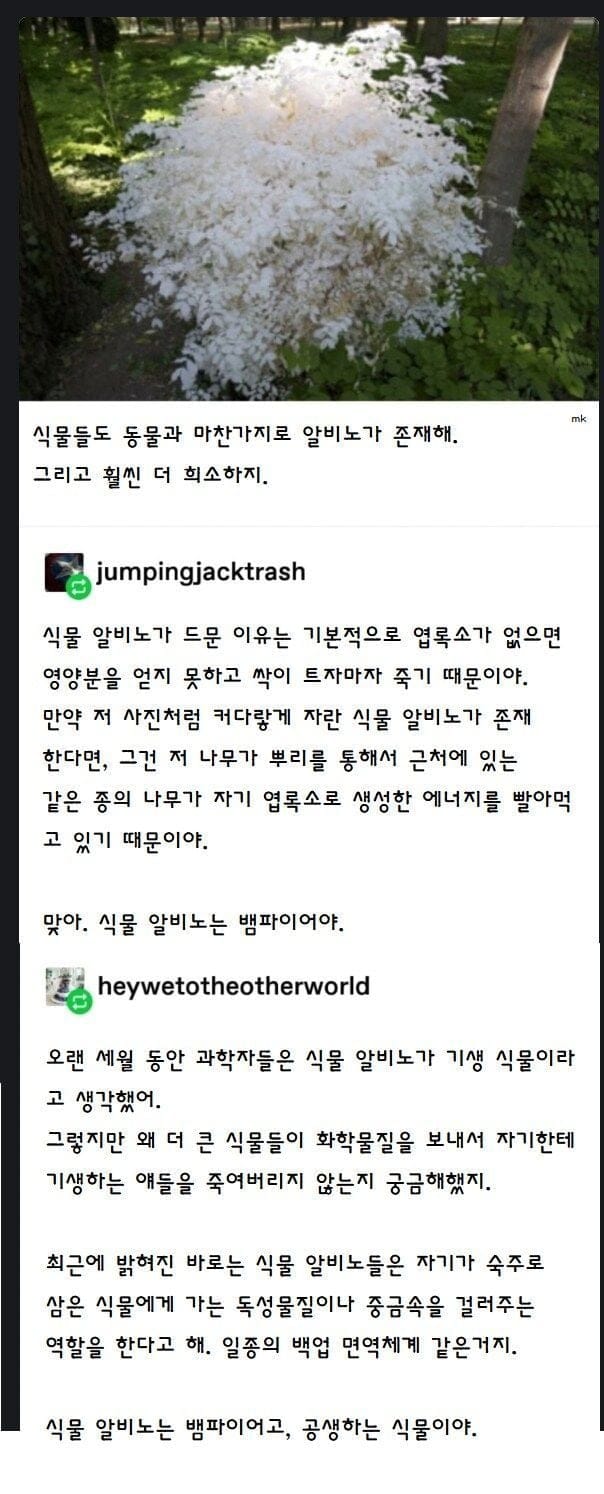 알비노 식물이 살아남는 방법