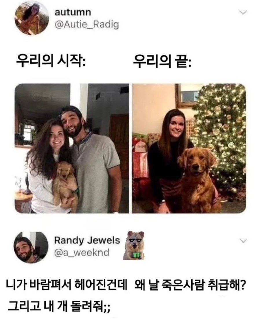 여친도 잃고 개도 뺏김