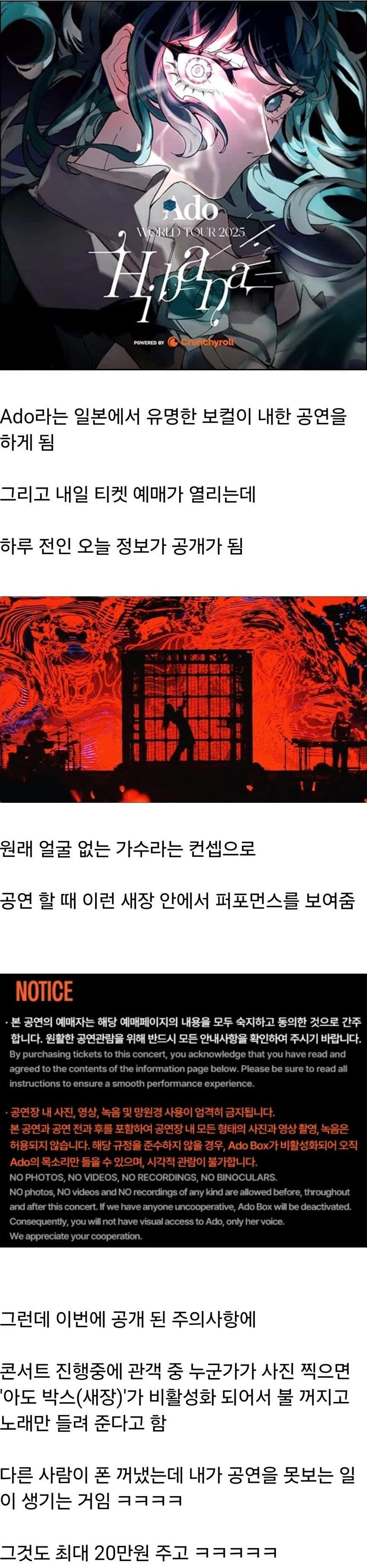 공연중 한명이라도 사진찍으면 공연 불 꺼진다는 ado 내한공연