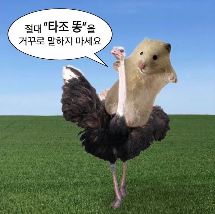 절대 타조 똥을 거꾸로 말하지 마세요