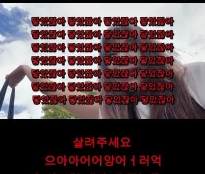 학폭 대신 까폭...호주에서 맞고 다닌다는 한국인들.jpg