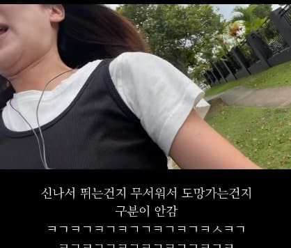 학폭 대신 까폭...호주에서 맞고 다닌다는 한국인들.jpg