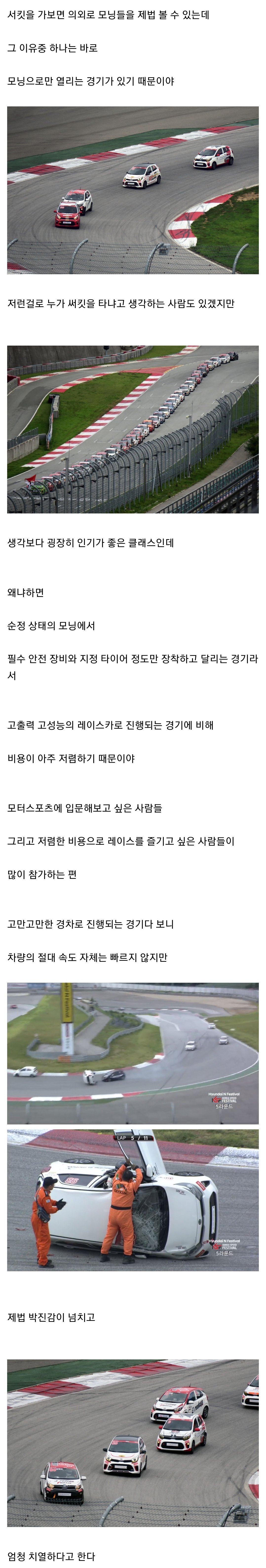 🏎️) 서킷에서 의외로 자주 보이는 자동차