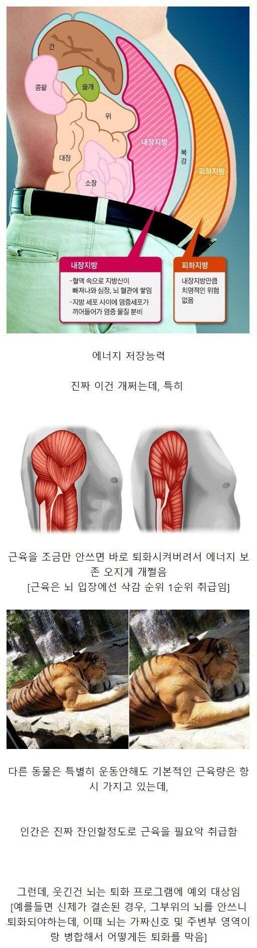 다른 동물을 뛰어넘는 인간의 S급 능력