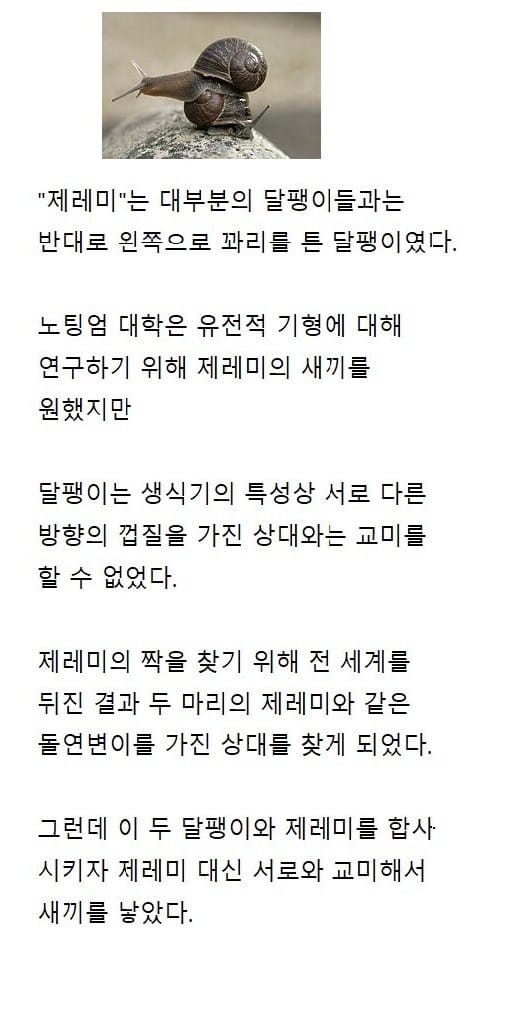 교미 한 번 하려고 전세계를 다 뒤진 결과