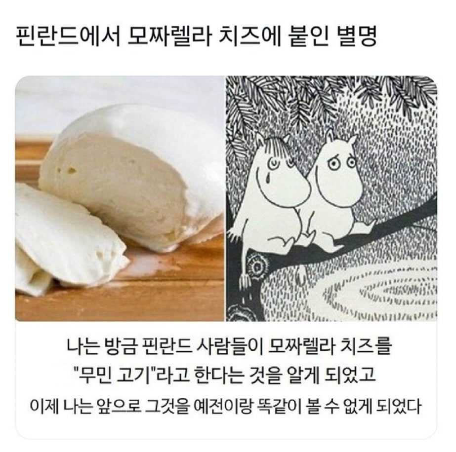 핀란드에서 모짜렐라 치즈를 부르는말