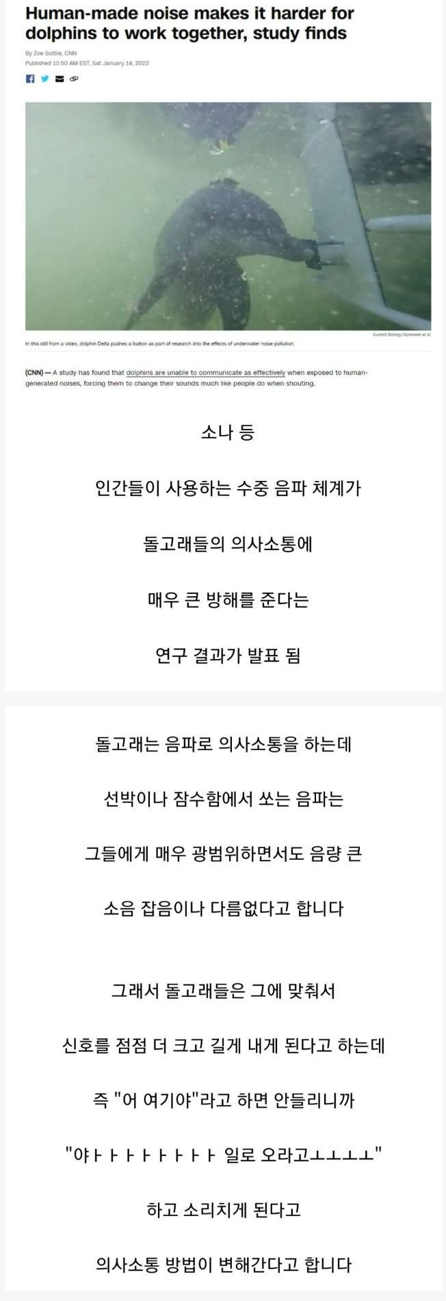 인간이 바꾼 돌고래의 대화법