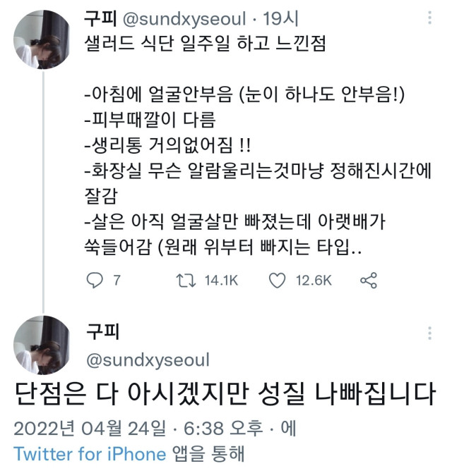 샐러드로 일주일 먹은 장단점