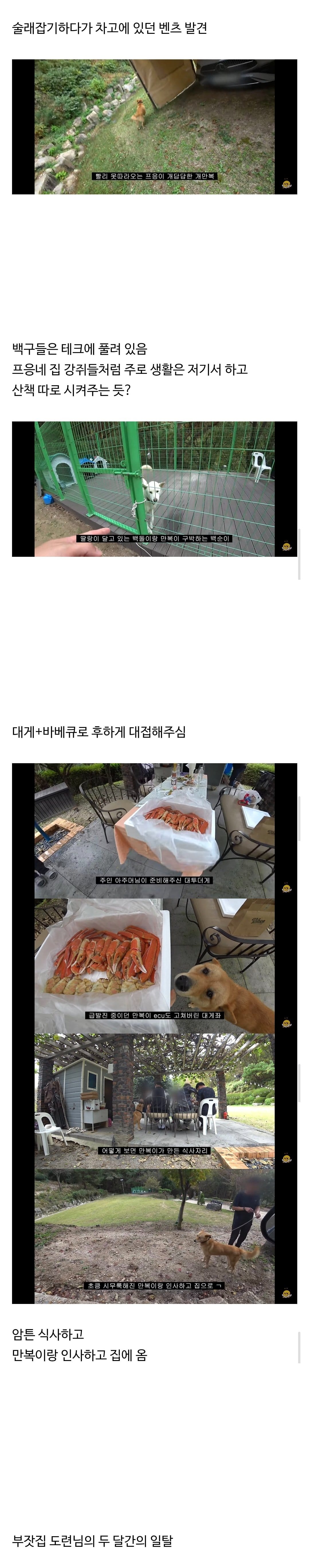 갑자기 집에 들어온 떠돌이개가 알고보니 부잣집 도련님이었...