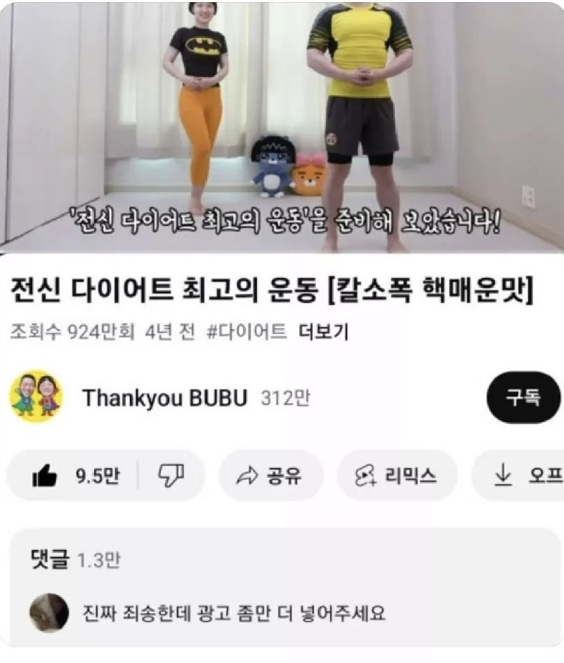 영상에 제발 광고 넣어 달라고 요청하는 유튜버 팬들