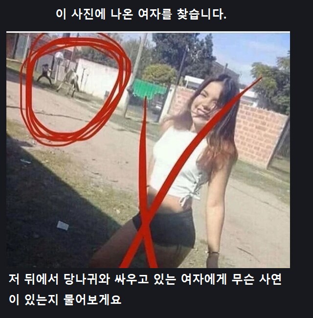 이 사진에 나온 여자를 찾습니다