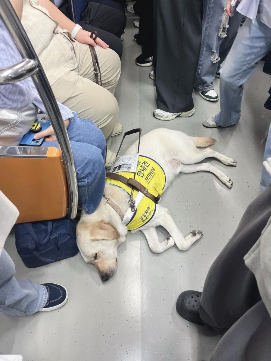 출근길..꽉찬 만원 지하철이 훈훈해진 이유