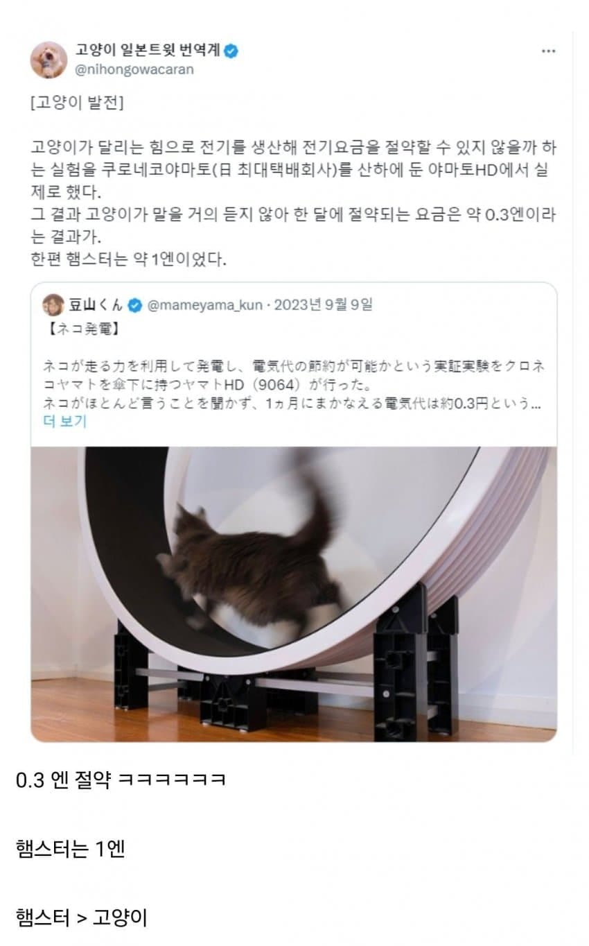 고양이 캣휠에 발전기를 달면 전기요금을 절약할 수 있을까?