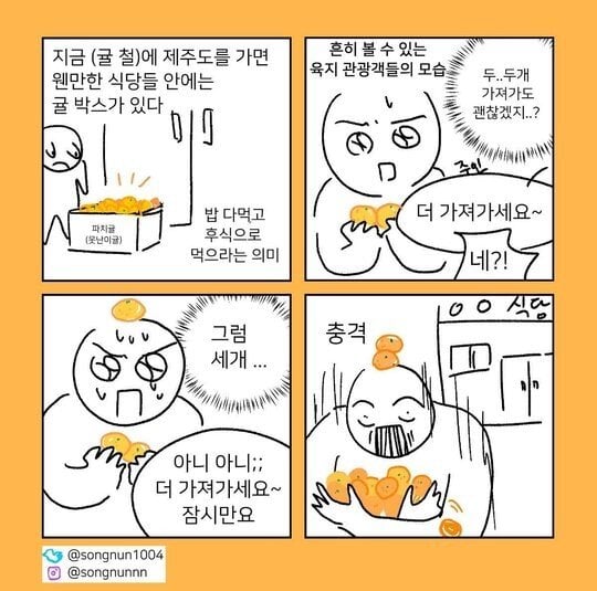 귤이 나오기 시작한 제주도.jpg