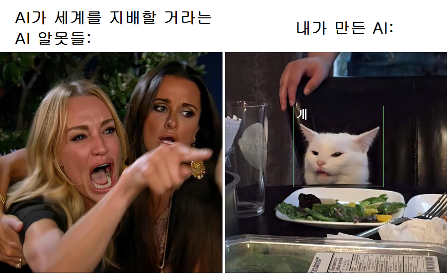 AI가 세계를 지배할 거라는 AI알못들