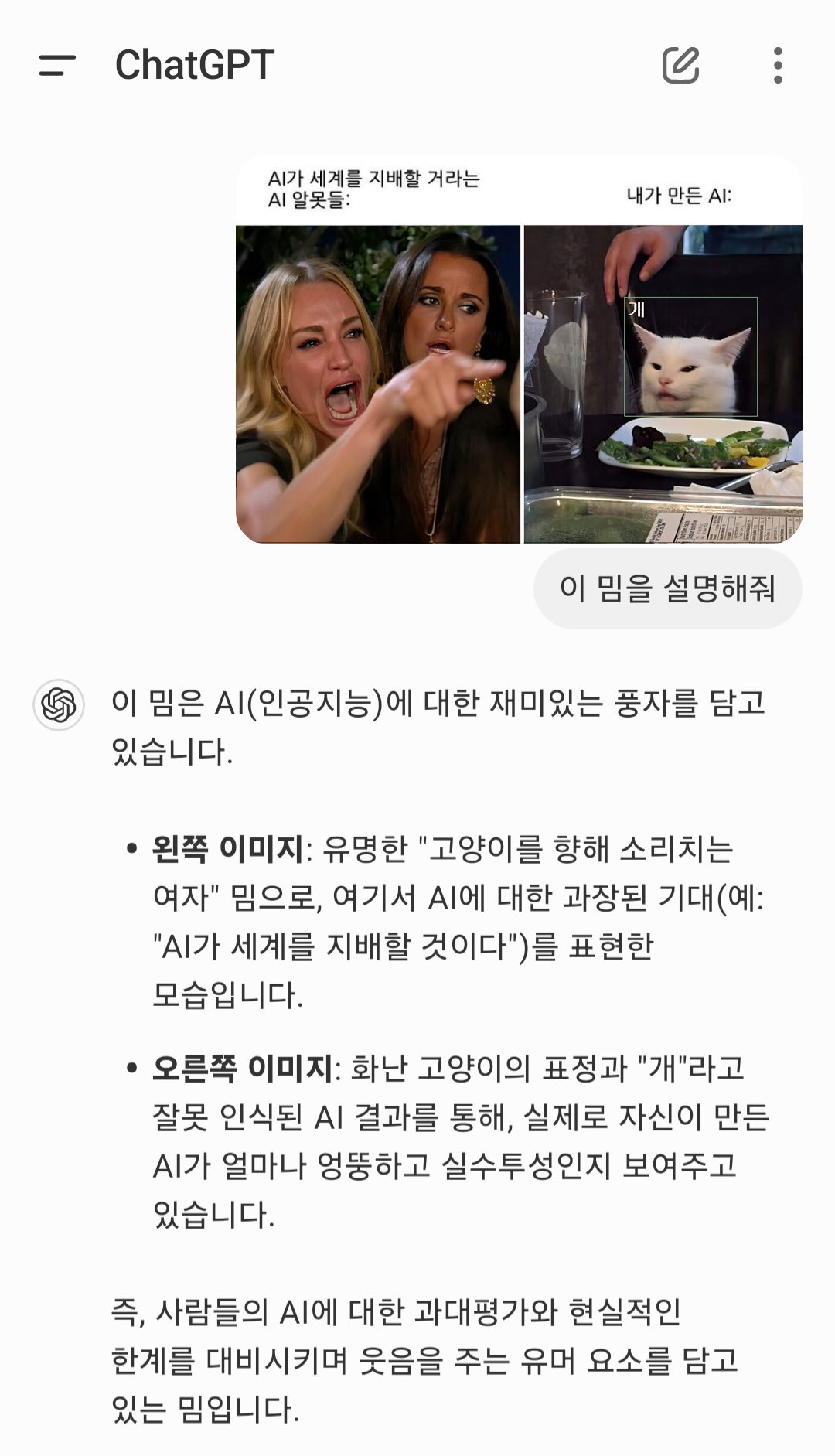 AI가 세계를 지배할 거라는 AI알못들