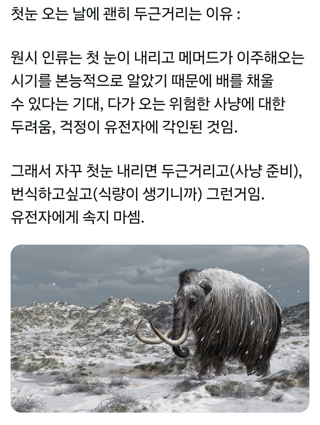 첫 눈이 오면 괜히 두근거리는 이유.jpg