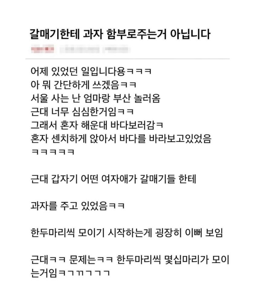 갈매기 한테 함부로 과자 주면 안되는 이유.jpg