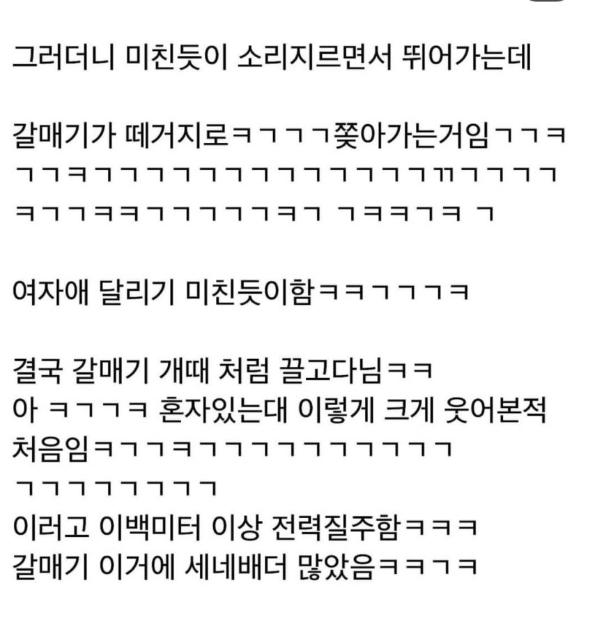 갈매기 한테 함부로 과자 주면 안되는 이유.jpg