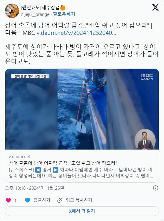 올 겨울에 방어랑 광어를 원없이 배터지게 먹어둬야하는 이유