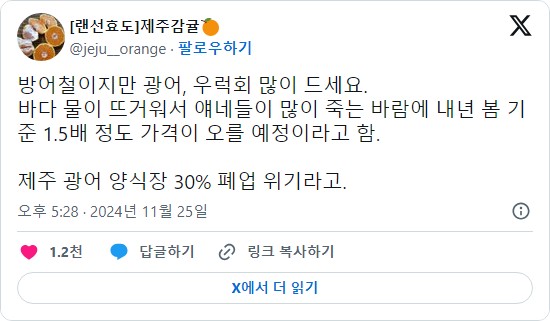 올 겨울에 방어랑 광어를 원없이 배터지게 먹어둬야하는 이유