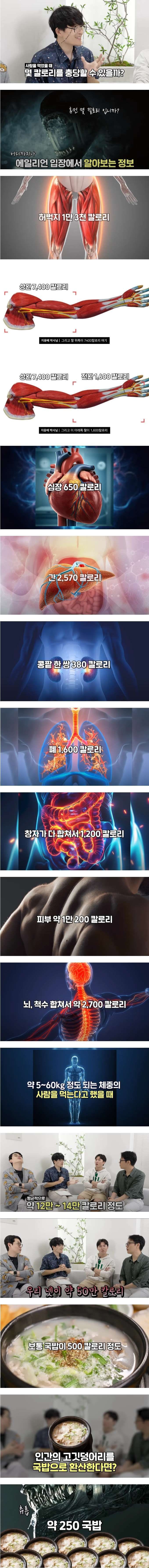 사람을 먹었을때 몇 칼로리를 충당할 수 있을까