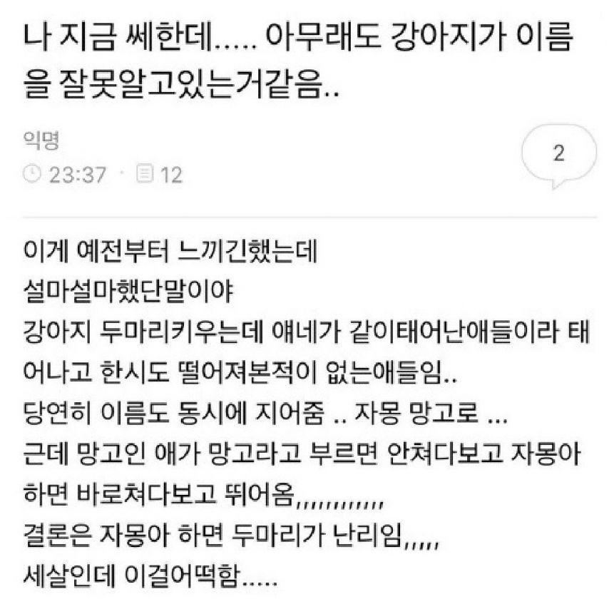 아무래도 강아지가 이름을 잘못 알고 있는거같음