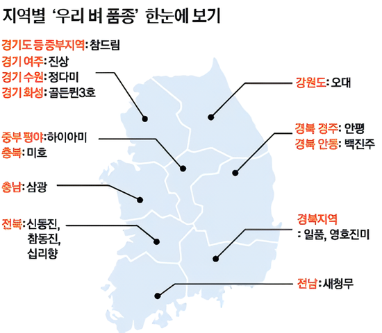 내 입맛에 맞는 쌀 고르는 법