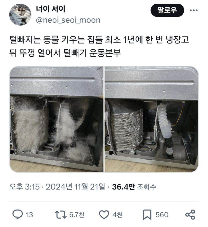 털 빠지는 동물 키우는 집 꼭 확인할 것